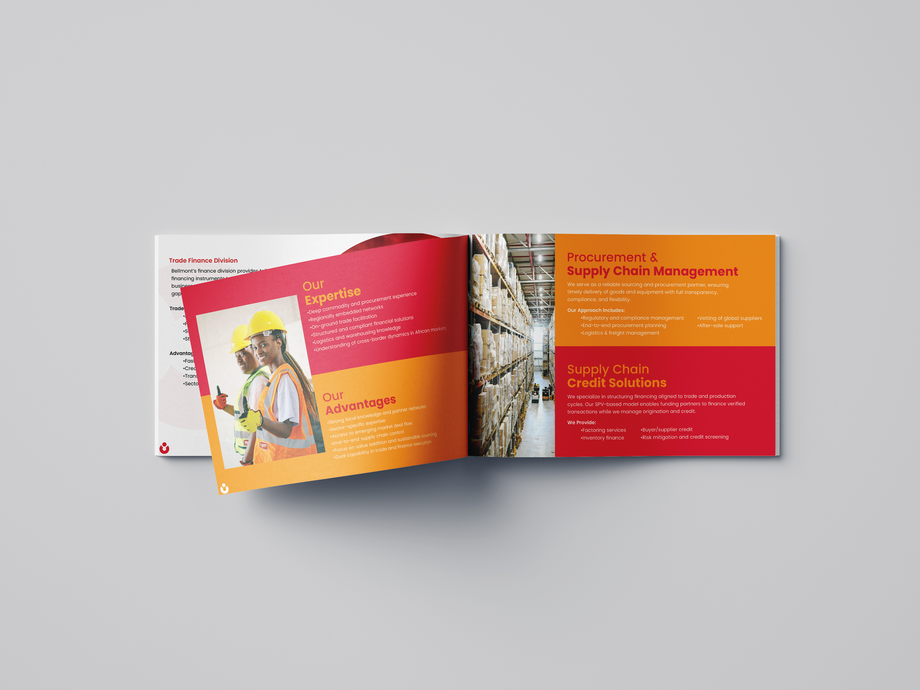 Bellmount Company Profile